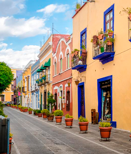 Cultural Voyage to Mexico